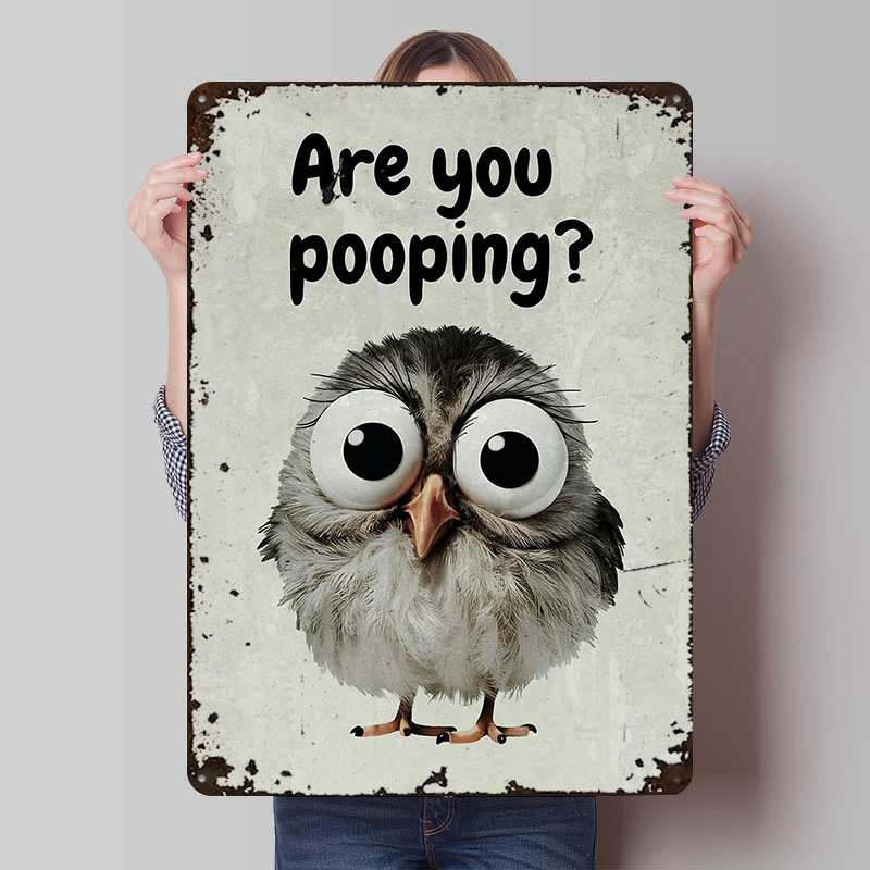 Funny Owl Bathroom Meme Poster - Retro Gaming Meme recension och pris