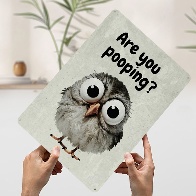 Funny Owl Bathroom Meme Poster - Retro Gaming Meme recension och pris